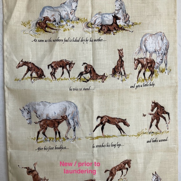 Ulster Weavers Linen Tea Towel A Foal’s First Day Sam Savitt 100% Irish Linen - Picture 15 of 16